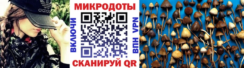 сайты даркнета Telegram  KRAKEN ссылка  Владимир  Псилоцибиновые грибы Cubensis 