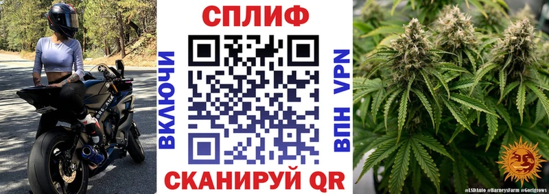 Конопля марихуана  Владимир 